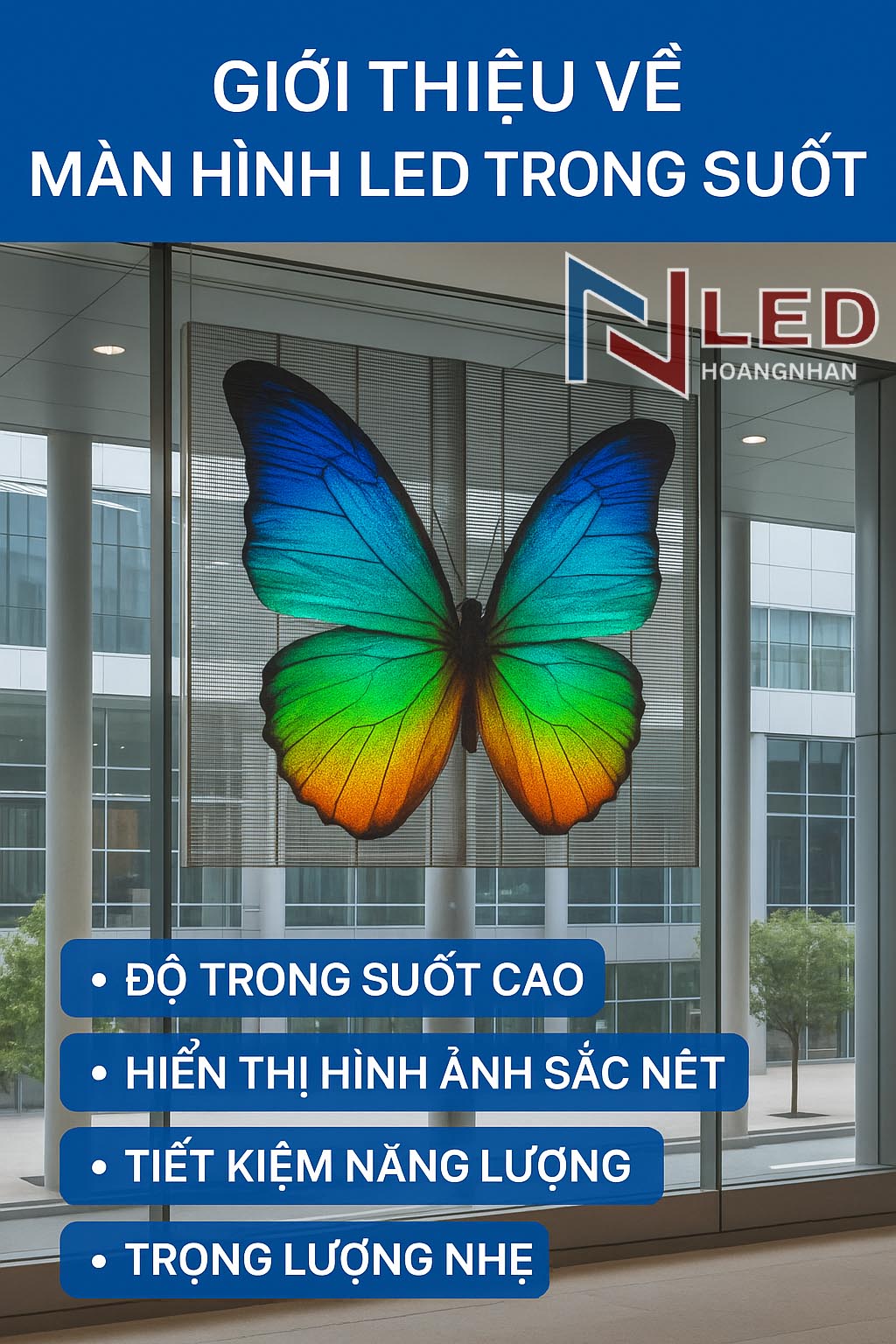 Màn Hình LED Trong Suốt- Ledhoangnhan_2